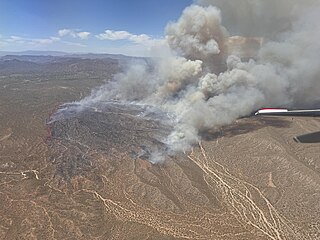 <span class="mw-page-title-main">Wildcat Fire</span> Relatively large wildfire that burned in the Tonto National Forest, in Arizona