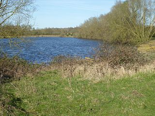 Wilsons Pits nature reserve in the United Kingdom