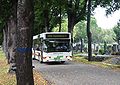 Friedhofsbus