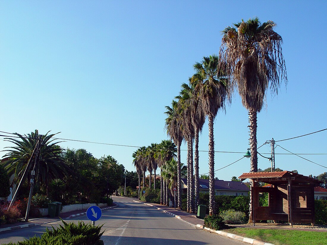 צופית (מושב)