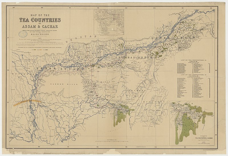 File:Zones de théiculture de l'Assam, 1873.jpg
