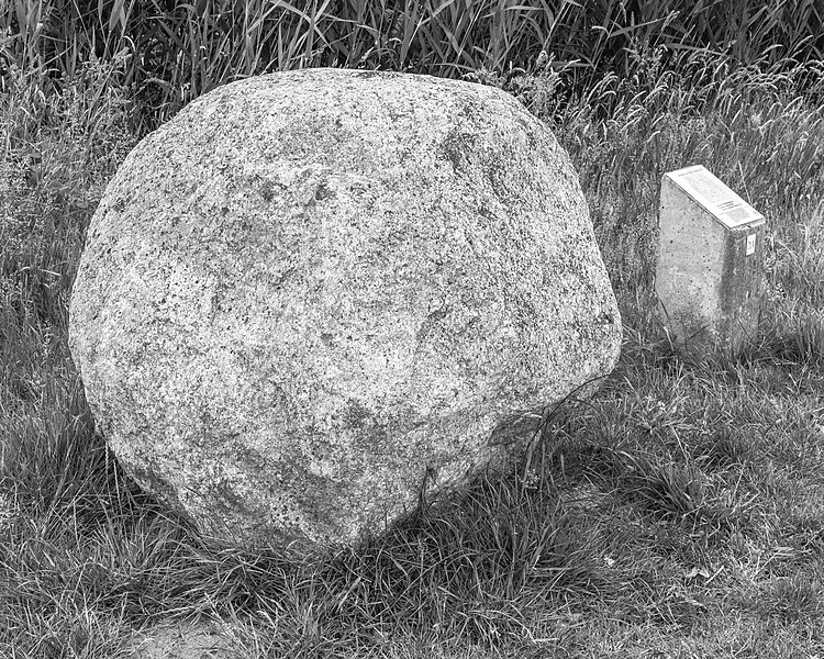 File:Zwerfkei (Smâlandgraniet), bij de uitzichttoren “Seedyk Kiekje”, Liemerige Wei, Oudemirdum. 10-06-2020 (actm.) 02.jpg