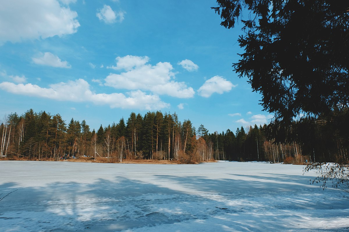 Заказник Щучье озеро зимой