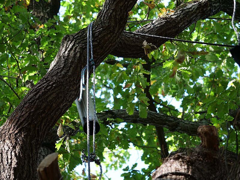 File:"Gallien" treehouse village after eviction 06.jpg