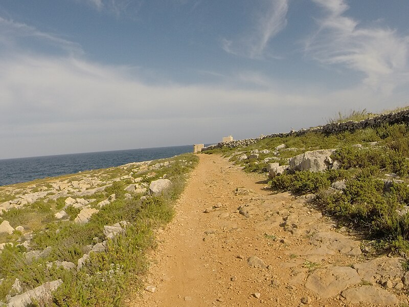 File:Ħaż-Żabbar, Malta - panoramio (17).jpg