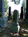 Čeština: Náhrobky na židovském hřbitově v Poličce, okres Svitavy, Pardubický kraj. English: Gravestones in the Jewish cemetery in the town of Polička, Svitavy District, Pardubice Region, Czech Republic.