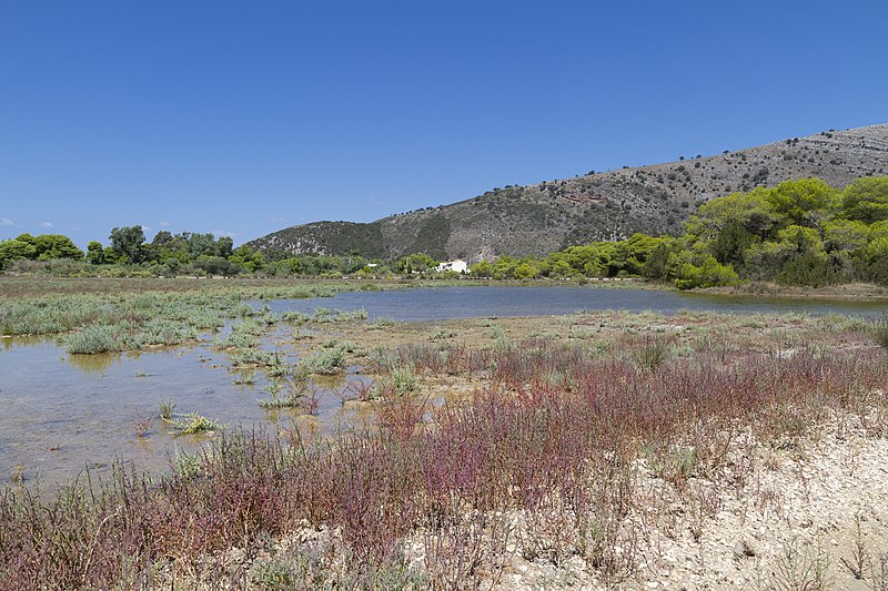 File:ΛΙΜΝΟΘΑΛΑΣΣΑ ΚΑΛΟΓΡΙΑΣ-FILIAS-IMG6691.jpg