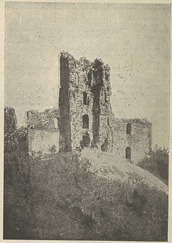 Ruiny Trockaho zamčyšča.