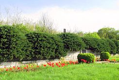 Monument voor het Moskouse regiment2.jpg