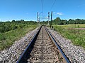 * Nomination View at Tarkovichi railway station from north-west end. Torkovichi, Luzhsky District, Leningrad Oblast, Russia. By User:Kaganer --Красный 13:37, 31 August 2023 (UTC) * Promotion  Question are the catenary poles supposed to lean out? --MB-one 15:06, 31 August 2023 (UTC) Looking on the overall quality of tracks and power line around that area I can say highly likely. This leaning is obvious but seems that the arch one isn't affected by it. Красный 16:37, 31 August 2023 (UTC)  Support Good enough. --Grunpfnul 16:55, 3 September 2023 (UTC)