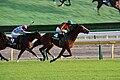 Cervinia winning the Artemis Stakes