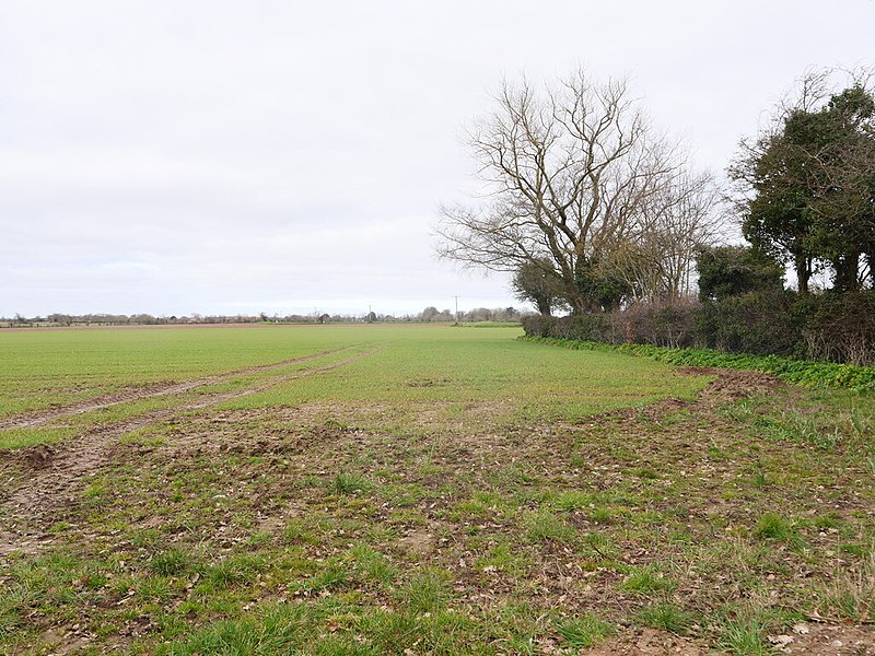 File:-2021-03-05 Farmland west of the B1145 road, Knapton, Norfolk.jpg