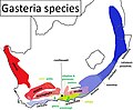 Distribution map of Gasteria species.