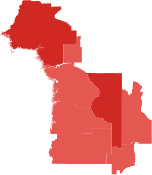 2010 Florida's 5th Congressional District election by county.svg