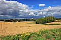 * Nomination View of the field. Bukowa Street. Jastrzębie-Zdrój, Silesian Voivodeship, Poland. --Halavar 10:26, 11 February 2019 (UTC) * Promotion There are strange halos, see the grey ones around the clouds --Poco a poco 20:10, 11 February 2019 (UTC) New fixed version uploaded. Hope it's better now:) --Halavar 21:55, 11 February 2019 (UTC) I think it's quite overprocessed. Maybe too much saturation and clarity? --Podzemnik 11:02, 12 February 2019 (UTC) I made your suggestions. Hope it's better now --Halavar 11:28, 12 February 2019 (UTC)  Support Better I think, even though the sky is still a bit too blue to me --Podzemnik 06:32, 14 February 2019 (UTC)