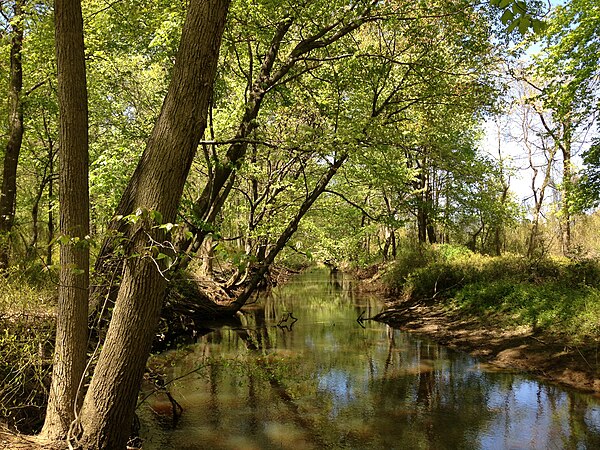 View west along the Assunpink Creek in West Windsor.