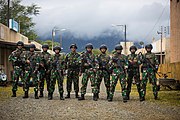 Indonesian National Armed Forces