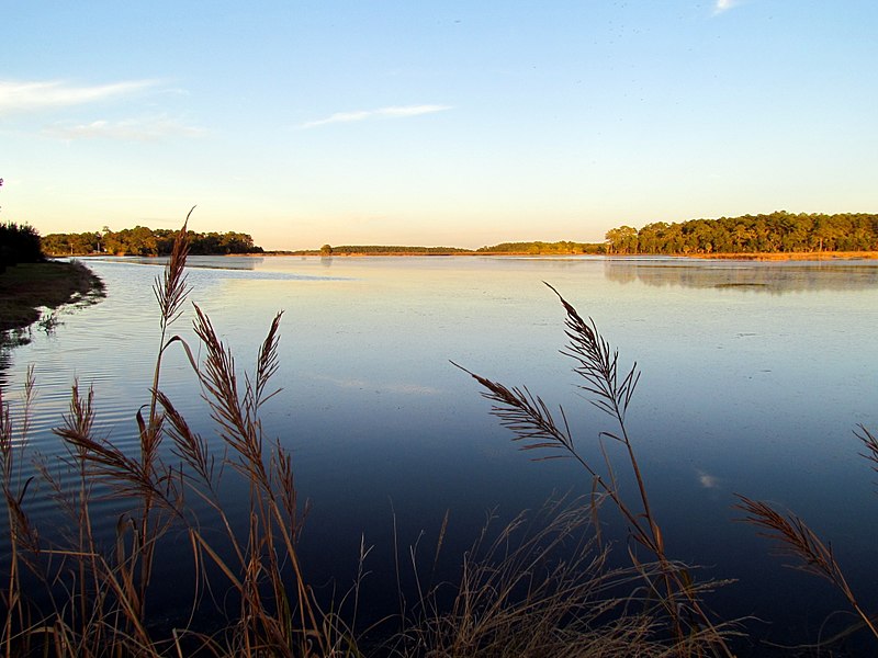 File:59 Bennetts Point RD Green Pond SC 6888 (12397984255).jpg