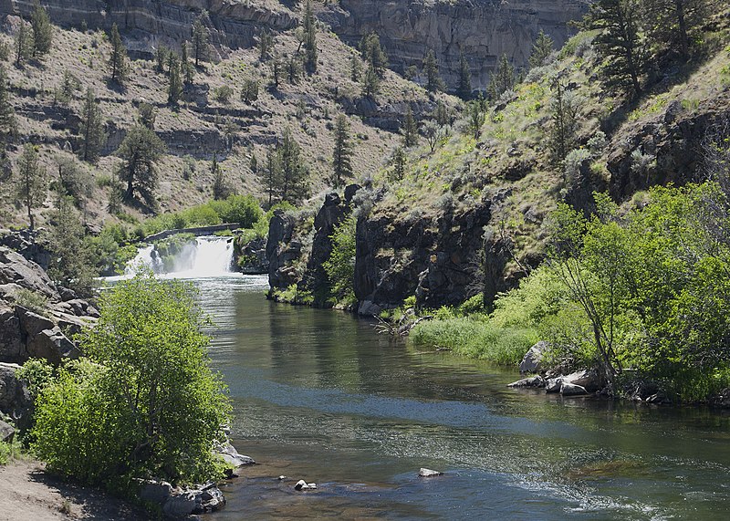 File:8700 deschutes at steelhead falls sall odfw (20253525383).jpg