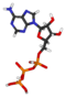 illustration de l'annecdote