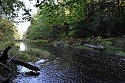 The Abagadasset River in September 2022