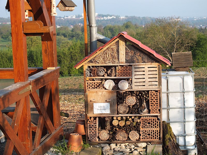 File:Abri à insecte et auxiliaire - panoramio.jpg