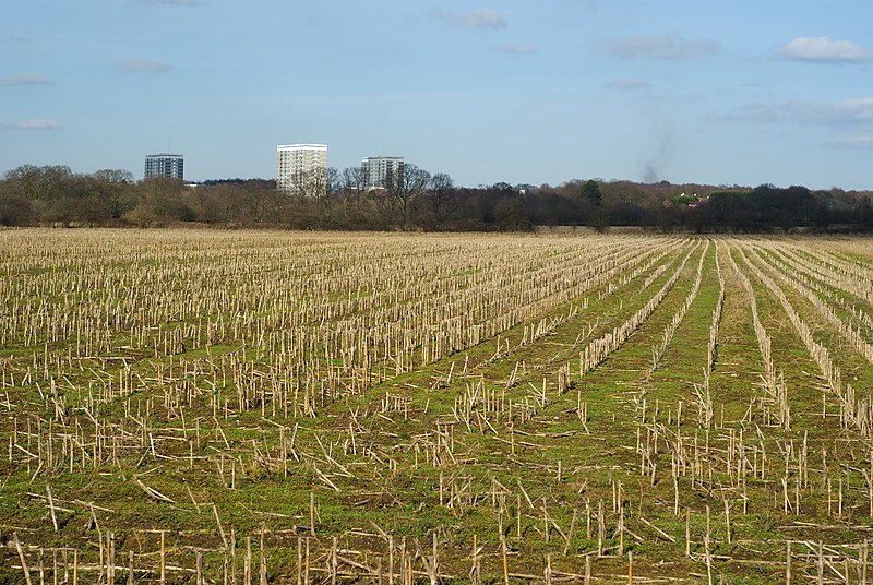 File:Across the Field, Old Netley, Hampshire - geograph.org.uk - 1742225.jpg