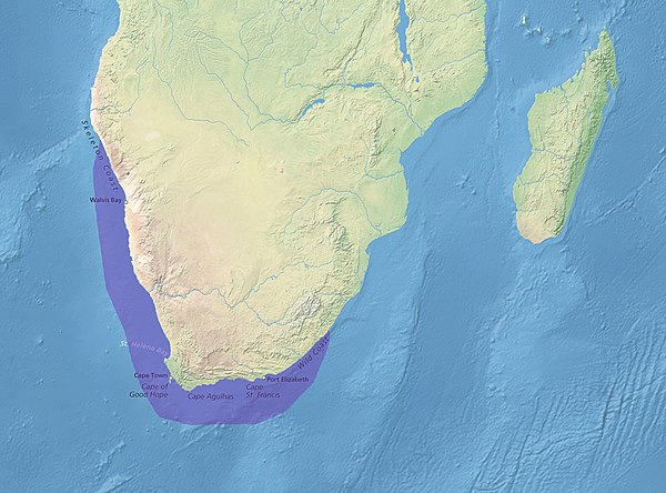 Image: African penguin distribution en