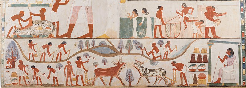 File:Agricultural Scenes, Tomb of Nakht MET 15.5.19b detail 2 rgb.jpg