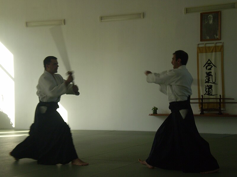 File:Aikido Baku.jpg