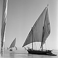 Tradional sailing boats (ajasor?/felucca?) on the Nile