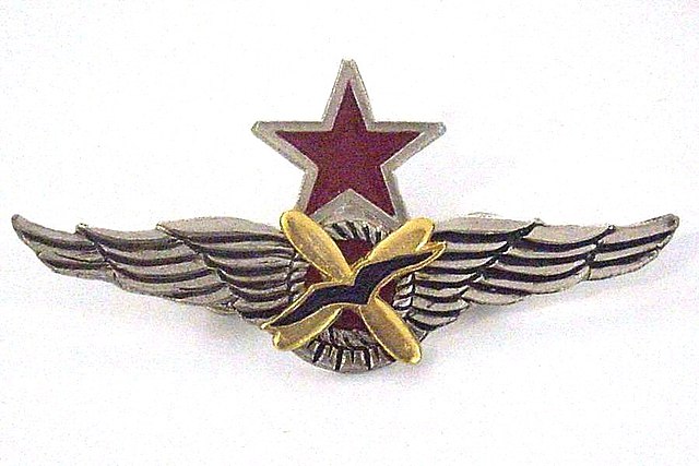 Fighter pilot wings in the Civil War