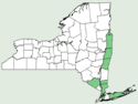 Alisma subcordatum NY-dist-map.png