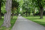 Alter Friedhof (Luzern)