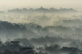 Amazing Borobudur
