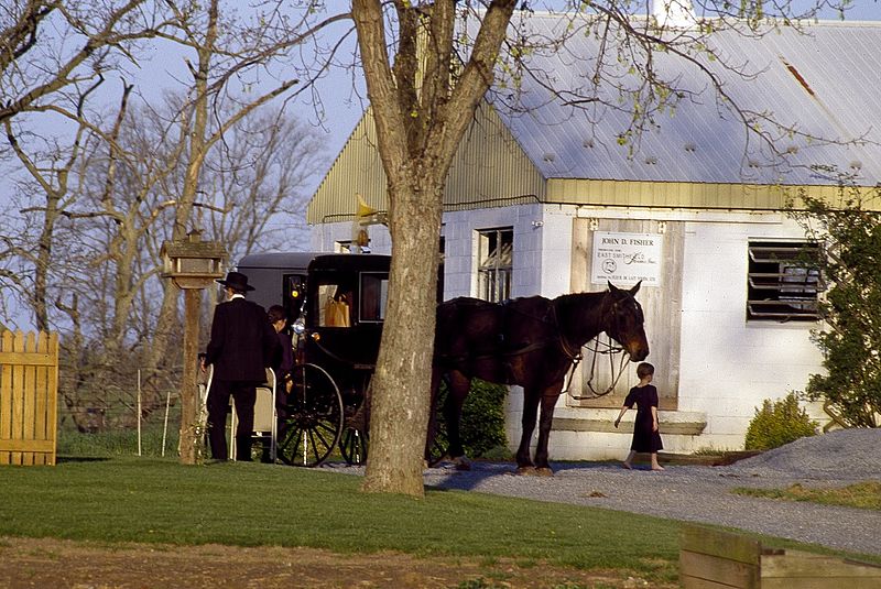 File:Amish life in Lancaster 14502v.jpg