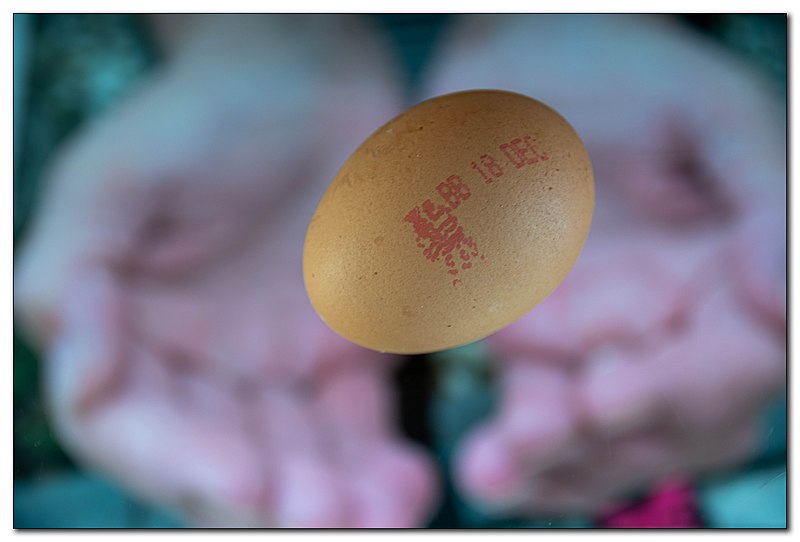 File:An eggxample - Flickr - Ray B's world.jpg