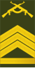 Angola-Armee-OR-6.svg