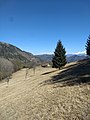 Monte Camiolo di Cima, dosso e fienile detto Ápene. Nel 1511 veniva chiamato Pine