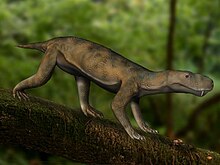 Restoration of A. curvimola in environment Arctognathus BW.jpg