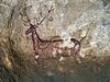 Deer painting in cave