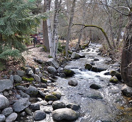 Ashland Creek in Lithia Park