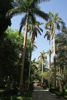 Botanical garden Aswan, Egypt