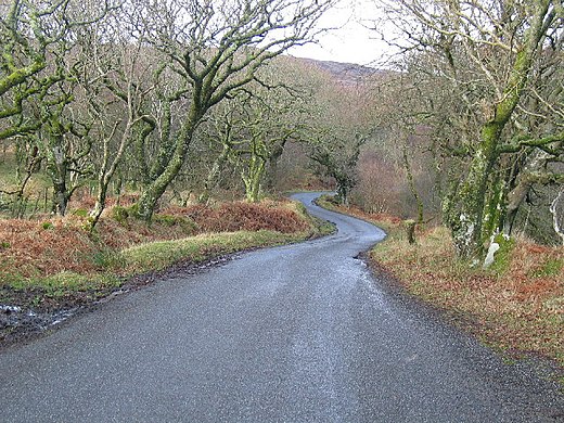 Foto van de B842, de weg die mogelijk een inspiratie was voor het lied.