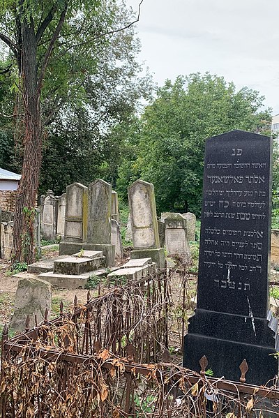 File:Bacau old jewish cemetry1.jpg