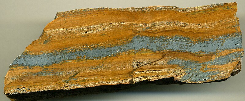 File:Banded iron formation (BIF) (Lower Middleback Iron-Formation, Paleoproterozoic, 1.81 or 1.859-1.945 Ga; hillslope 3 km west of Iron Duke Mine, South Middleback Range, Eyre Peninsula, South Australia) 2 (15059380105).jpg