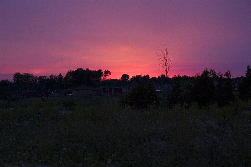 File:Barrie Sunset (218151237).jpg