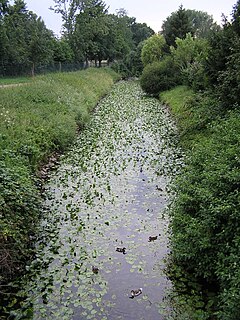 Bastau River in Germany