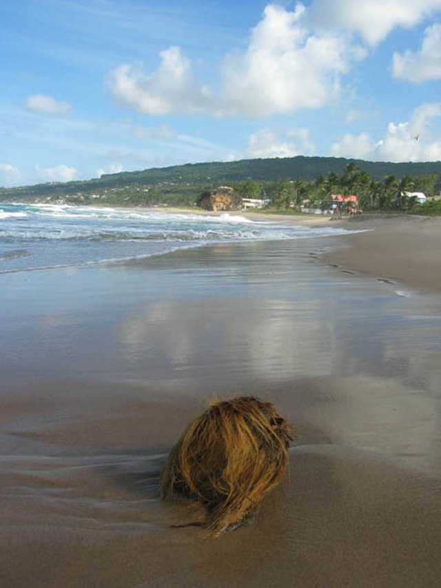 File:Bathsheba-beach.jpg