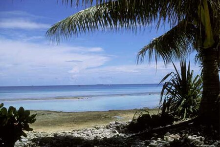 Beach on Fongafale Islet.jpg